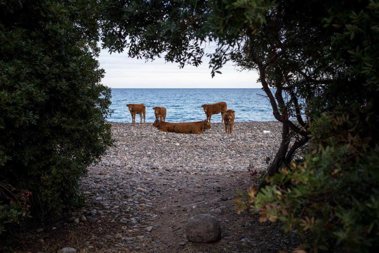 New Camping Coccorrocci Marina di Gairo Exterior photo